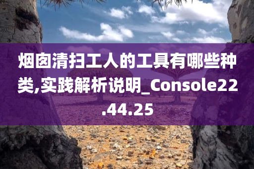 烟囱清扫工人的工具有哪些种类,实践解析说明_Console22.44.25