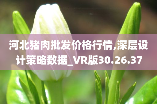 河北猪肉批发价格行情,深层设计策略数据_VR版30.26.37