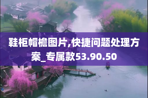 鞋柜帽檐图片,快捷问题处理方案_专属款53.90.50