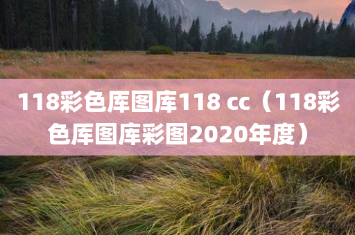 118彩色厍图库118 cc（118彩色厍图库彩图2020年度）