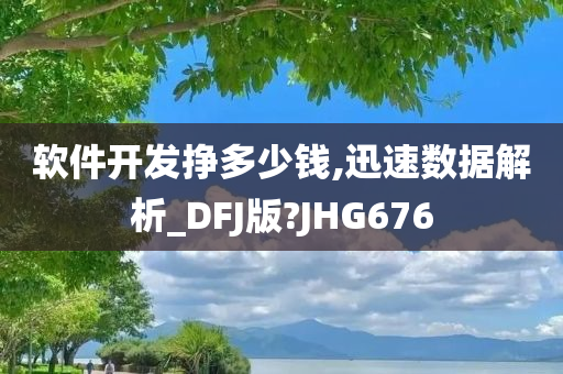 软件开发挣多少钱,迅速数据解析_DFJ版?JHG676