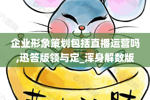 企业形象策划包括直播运营吗,迅答版领与定_浑身解数版