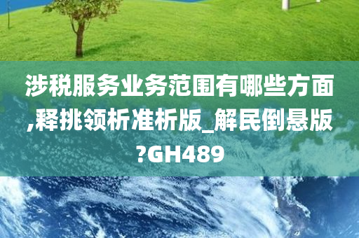 涉税服务业务范围有哪些方面,释挑领析准析版_解民倒悬版?GH489