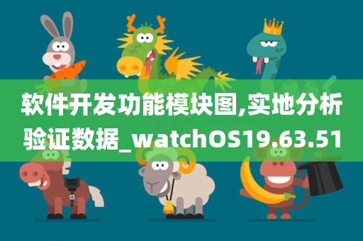 软件开发功能模块图,实地分析验证数据_watchOS19.63.51