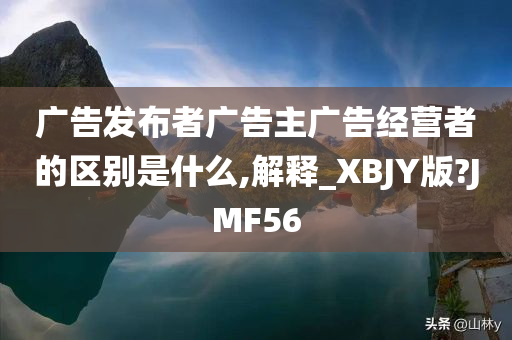 广告发布者广告主广告经营者的区别是什么,解释_XBJY版?JMF56