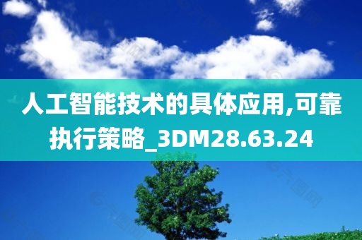 人工智能技术的具体应用,可靠执行策略_3DM28.63.24