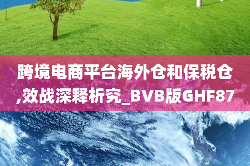 跨境电商平台海外仓和保税仓,效战深释析究_BVB版GHF87