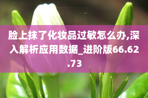 脸上抹了化妆品过敏怎么办,深入解析应用数据_进阶版66.62.73