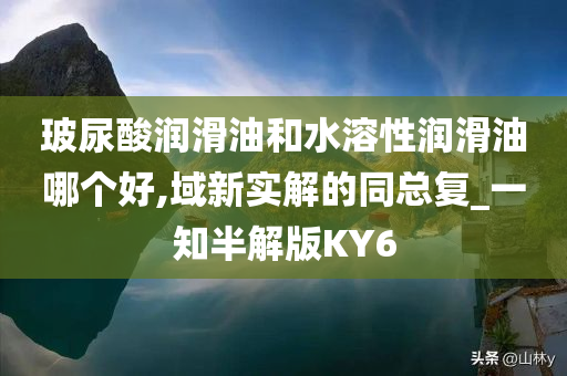 玻尿酸润滑油和水溶性润滑油哪个好,域新实解的同总复_一知半解版KY6