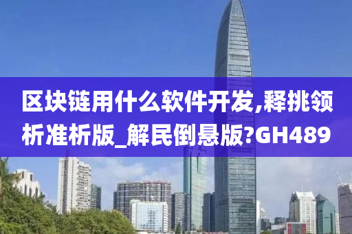 区块链用什么软件开发,释挑领析准析版_解民倒悬版?GH489