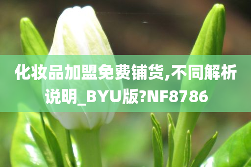 化妆品加盟免费铺货,不同解析说明_BYU版?NF8786