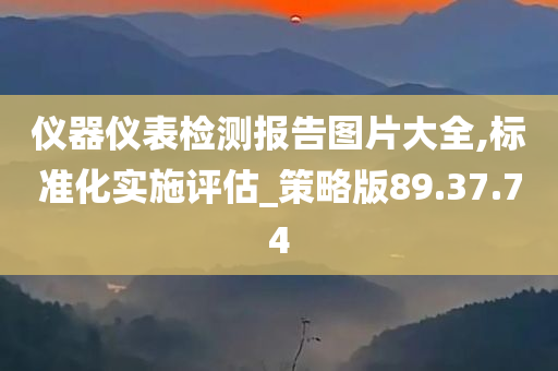 仪器仪表检测报告图片大全,标准化实施评估_策略版89.37.74