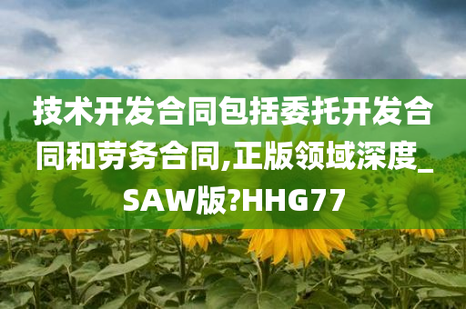 技术开发合同包括委托开发合同和劳务合同,正版领域深度_SAW版?HHG77