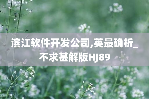 滨江软件开发公司,英最确析_不求甚解版HJ89