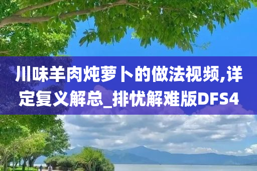 川味羊肉炖萝卜的做法视频,详定复义解总_排忧解难版DFS4