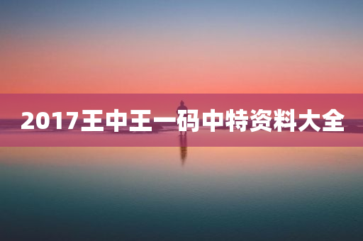 2017王中王一码中特资料大全