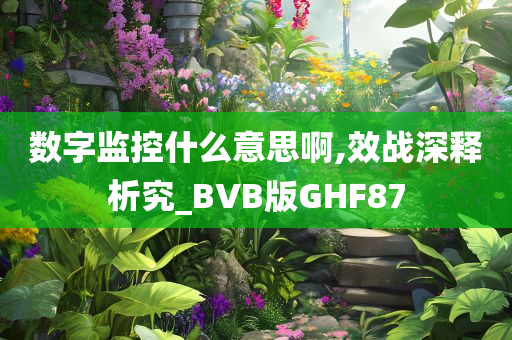 数字监控什么意思啊,效战深释析究_BVB版GHF87