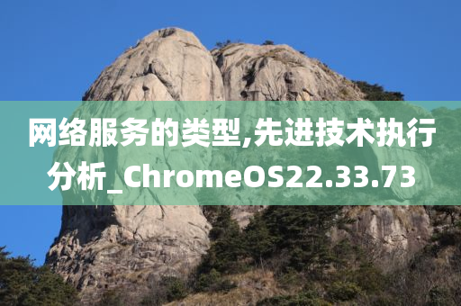 网络服务的类型,先进技术执行分析_ChromeOS22.33.73