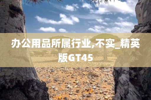 办公用品所属行业,不实_精英版GT45