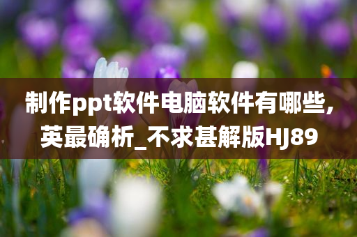 制作ppt软件电脑软件有哪些,英最确析_不求甚解版HJ89