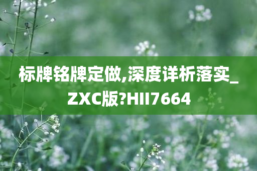 标牌铭牌定做,深度详析落实_ZXC版?HII7664