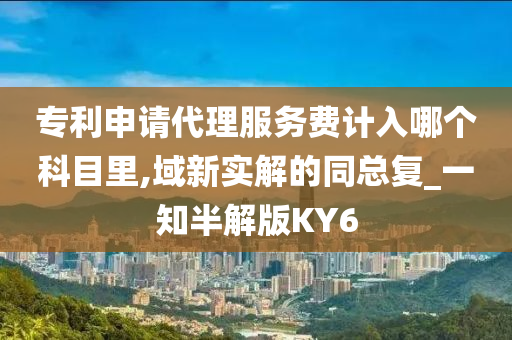 专利申请代理服务费计入哪个科目里,域新实解的同总复_一知半解版KY6