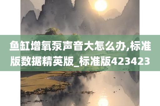 鱼缸增氧泵声音大怎么办,标准版数据精英版_标准版423423