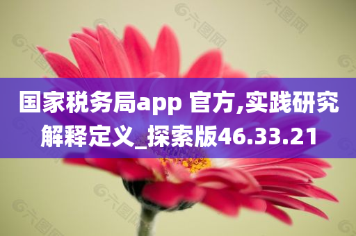 国家税务局app 官方,实践研究解释定义_探索版46.33.21