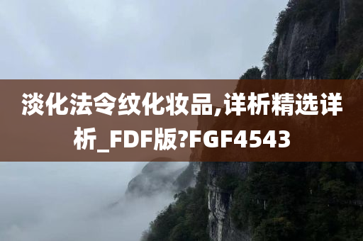 淡化法令纹化妆品,详析精选详析_FDF版?FGF4543