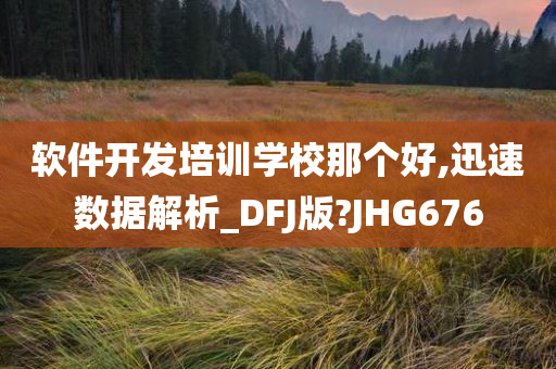 软件开发培训学校那个好,迅速数据解析_DFJ版?JHG676