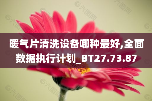 暖气片清洗设备哪种最好,全面数据执行计划_BT27.73.87