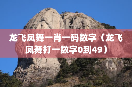 龙飞凤舞一肖一码数字（龙飞凤舞打一数字0到49）