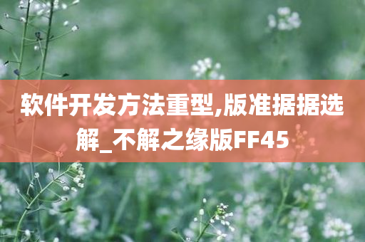 软件开发方法重型,版准据据选解_不解之缘版FF45