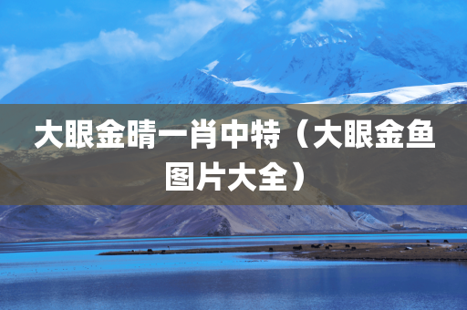 大眼金晴一肖中特（大眼金鱼图片大全）