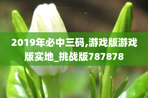 2019年必中三码,游戏版游戏版实地_挑战版787878