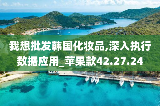 我想批发韩国化妆品,深入执行数据应用_苹果款42.27.24