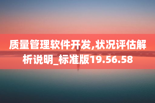 质量管理软件开发,状况评估解析说明_标准版19.56.58