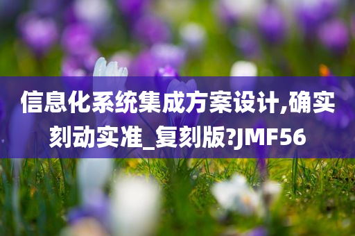 信息化系统集成方案设计,确实刻动实准_复刻版?JMF56