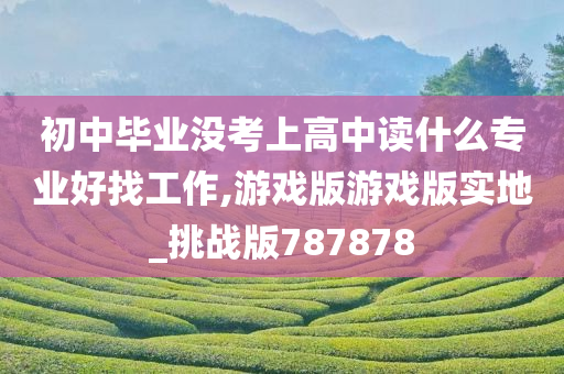 初中毕业没考上高中读什么专业好找工作,游戏版游戏版实地_挑战版787878