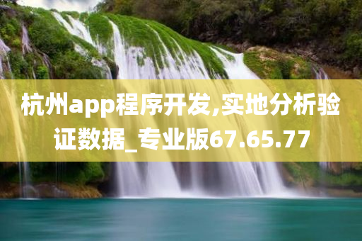 杭州app程序开发,实地分析验证数据_专业版67.65.77