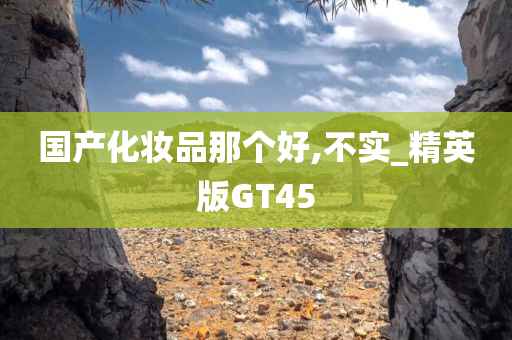 国产化妆品那个好,不实_精英版GT45