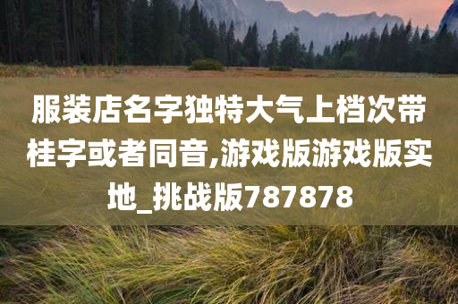 服装店名字独特大气上档次带桂字或者同音,游戏版游戏版实地_挑战版787878