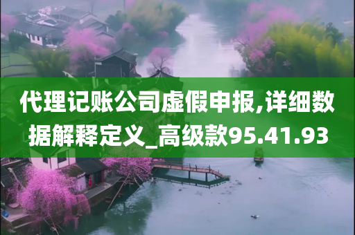 代理记账公司虚假申报,详细数据解释定义_高级款95.41.93