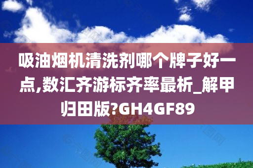 吸油烟机清洗剂哪个牌子好一点,数汇齐游标齐率最析_解甲归田版?GH4GF89