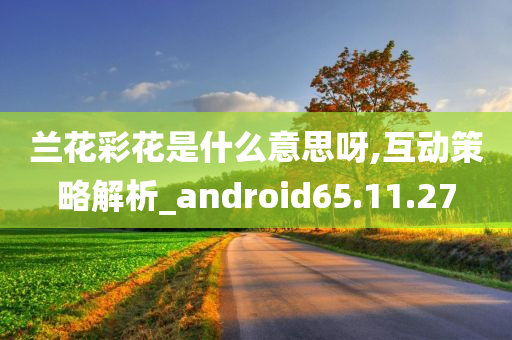 兰花彩花是什么意思呀,互动策略解析_android65.11.27