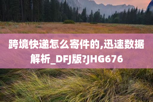 跨境快递怎么寄件的,迅速数据解析_DFJ版?JHG676