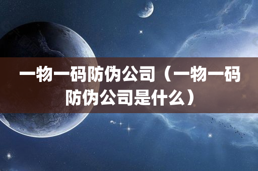 一物一码防伪公司（一物一码防伪公司是什么）