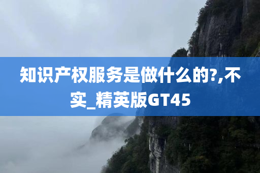 知识产权服务是做什么的?,不实_精英版GT45