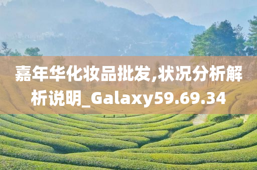 嘉年华化妆品批发,状况分析解析说明_Galaxy59.69.34