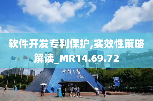 软件开发专利保护,实效性策略解读_MR14.69.72